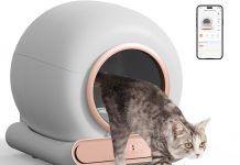 Self-Cleaning Cat Litter Box Review: Smart, Safe & Convenient for Multi-Cat Households
