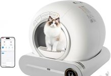 Self-Cleaning Cat Litter Box Review: Worth It for Multiple Cats? Odor Control & More