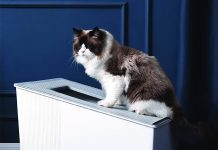 HONEY CARE Self-Cleaning Cat Litter Box Review: Smart, Convenient, but Is It Worth It?