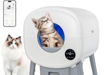 Self-Cleaning Cat Litter Box Review: Is It Worth the Hype for Multi-Cat Households?