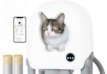 KittyClean Automatic Cat Litter Box Review: Worth the Hype or Overhyped Tech?