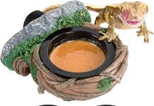 REPTI ZOO Magnetic Crested Gecko Feeding Ledge Review: Is It Worth the Investment for Reptiles?