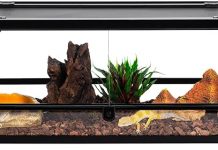 REPTI ZOO Glass Reptile Terrarium Review: Is This 20-Gallon Tank Worth the Investment?