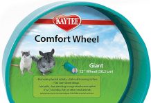 Kaytee Comfort Wheel Giant 12 Inches Review: Is It Worth the Investment for Your Pet?