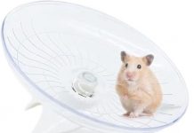 Hamster Flying Saucer Silent Running Wheel Review: Worth the Hype for Small Pets?