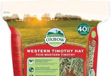 Oxbow Western Timothy Hay Review: Is This Veterinarian-Recommended Hay Worth It?
