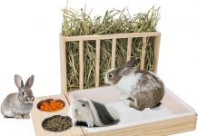 3 in 1 Rabbit Hay Feeder with Litter Box Review: Worth the Investment for Small Pets?
