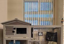 Bunny Cage Indoor & Outdoor Hutch Review: Is It Worth the Investment for Your Pets?