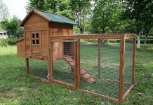 Outdoor Chicken Coop Review: Is This Wooden Hen House Worth the Investment?