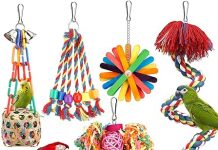 Bird Toys Bird Rope Perch Review: Is It Worth the Investment for Your Parrot’s Playtime?