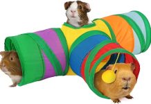 Rypet Guinea Pig Tunnel Review: Worth the Hype for Small Pet Play & Exercise?