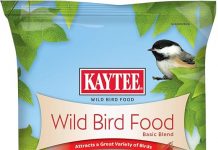 Kaytee Wild Bird Basic Seed Review: Is It Worth the Price for Attracting Backyard Birds?