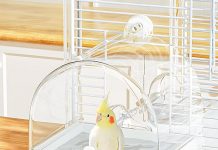 BUCATSTATE Hanging Bird Bath Review: Is This 3-in-1 Accessory Worth Your Investment?