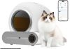 Self Cleaning Litter Box Review: Is It Worth the Investment for Multiple Cats?