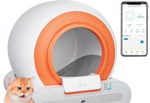 Self-Cleaning Cat Litter Box Review: Is It Worth the Hype for Multi-Cat Households?
