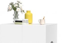 Litter Box Enclosure Review: Is This Stylish, Self-Cleaning Solution Worth the Investment?