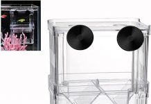 Boxtech Aquarium Breeding Box Review: Is It Worth the Investment for Your Fish Tank?