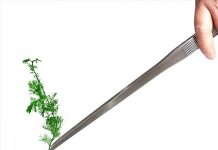 18.9” Heavy Duty Extra Long Tweezers Review: Are They Worth the Investment for Your Tank?