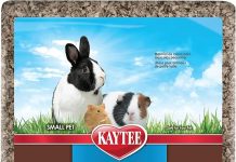Kaytee Clean & Cozy Bedding Review: Is It the Best Eco-Friendly Option for Small Pets?