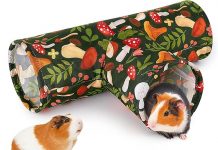 Bienbee Foldable Rabbit & Guinea Pig Tunnel Review: Is It Worth the Hype for Your Pet?