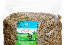 5LB Dried Black Soldier Fly Larvae Review: Is It the Ultimate Protein Boost for Chickens?