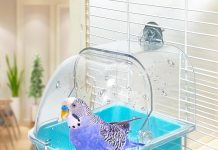 Bird Bath for Cage Review: Is This Portable Shower Worth the Investment for Your Bird?