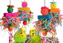 Parakeet Toys Birdcage Stand Review: Worth It for Small Birds? Pros, Cons & Verdict