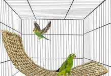 Bird Seagrass Mat Review: Is This Natural Hammock Worth the Investment for Your Pets?