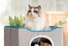 Bedsure Cat Bed Review: Is This Cozy Cat Cave Worth the Investment? Pros, Cons & More!