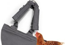 Hen Holster Bikini Diaper Review: Is It Worth the Investment for Your Feathered Friends?