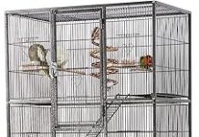 Yaheetech 69-Inch Bird Cage Review: Is It Worth the Investment for Your Parrot?