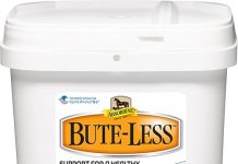 Absorbine Bute-Less Comfort & Recovery Supplement Review: Worth It for Your Pet’s Comfort?