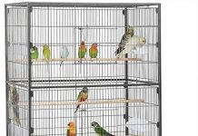 Yaheetech 52-Inch Bird Cage Review: Is It Worth the Investment for Your Feathered Friend?