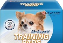 Honey Care All-Absorb Training Pads Review: Are They Worth the Hype for Your Pup?