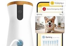 Furbo 360° Dog Camera Review: Is It Worth the Subscription for Your Dog’s Safety?