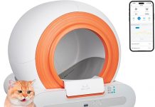 Self-Cleaning Cat Litter Box Review: Is It Worth the Hype for Multiple Cats?