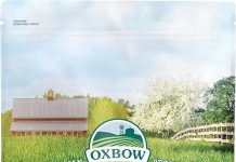 Oxbow Essentials Adult Rabbit Food Review: Is It the Best Choice for Your Bunny’s Health?