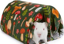 Guinea Pig Hideout Tunnel Review: Cozy & Worth It or Just Another Pet Accessory?
