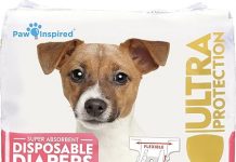 Paw Inspired 32ct Disposable Dog Diapers Review: Are They Worth the Protection?