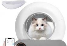 Automatic Self-Cleaning Cat Litter Box Review: Worth the Investment for Effortless Cleanliness?