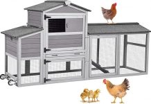 Aivituvin 80in Chicken Coop Review: Is This Mobile Hen House Worth the Investment?
