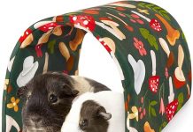 Bienbee Guinea Pig Tunnel Review: Is It Worth the Hype for Small Pet Owners?