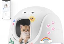 CATLINK Self-Cleaning Litter Box Review: Is It Worth the Investment for All Cats?