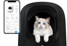 Self-Cleaning Litter Box Review: Is This Smart Kitty Robot Worth the Investment?
