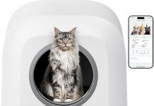 Self-Cleaning Litter Box Review: Is It Worth the Investment for Multi-Cat Households?
