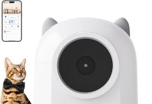 Self Cleaning Litter Box Review: Is It Worth the Hype for Multi-Cat Households?