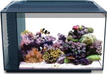 Fluval Evo XII Saltwater Aquarium Kit Review Evaluating Its Features, Value, and Performance