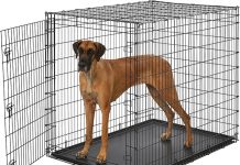 Midwest Homes for Pets Ginormous 54-Inch Dog Crate Review: Is It Right for XXL Dogs?