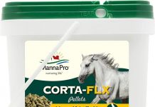 Corta-FLX Equine Joint Supplement Review: Does It Really Support Healthy Horse Joints?
