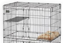 MidWest Homes for Pets Cat Playpen Review: Is This Spacious Cage Worth Your Cats’ Time?